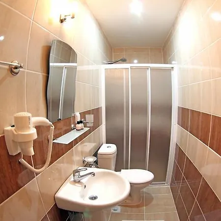 Gold Vizyon Отель *