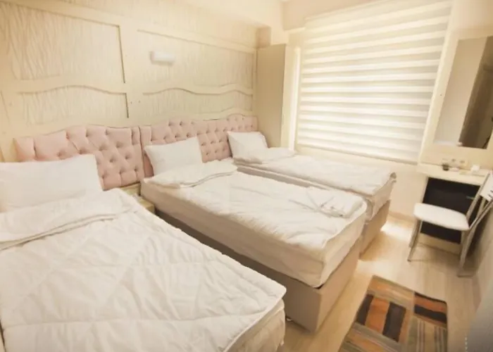 מלון Gold Vizyon אקסאראי