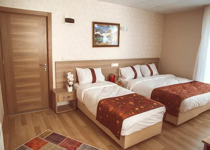 מלון Gold Vizyon *