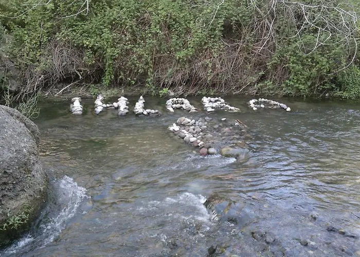 Gold Vizyon אקסאראי